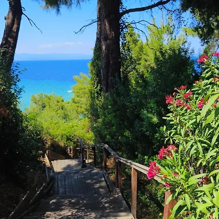 Blue Heaven Kriopijí