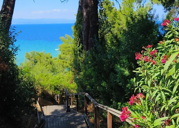 Blue Heaven Криопиги